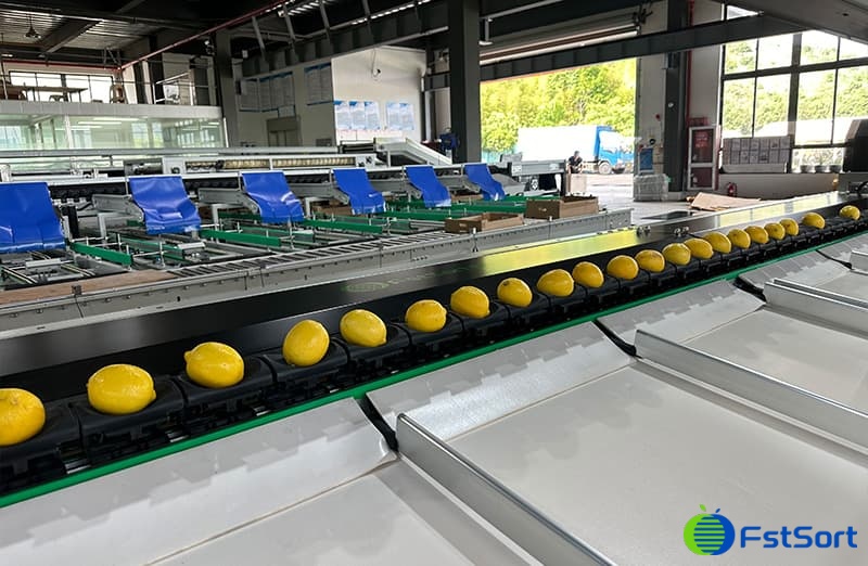 images/1715673826844lemon fruit sorting machine.jpg